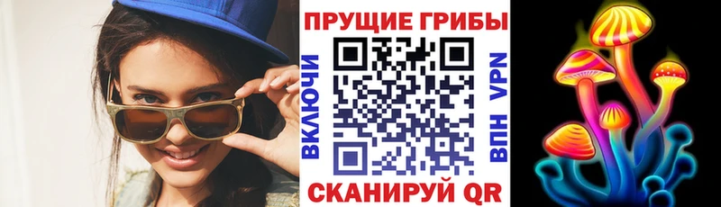как найти закладки  Бобров  Псилоцибиновые грибы Cubensis 