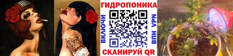 Канабис сатива  блэк спрут зеркало  Бобров 